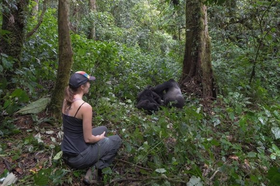 How to Find Cheap Gorilla Treks in Africa